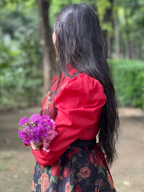 Elegant Black & Red Floral Organza Dress - Image 4